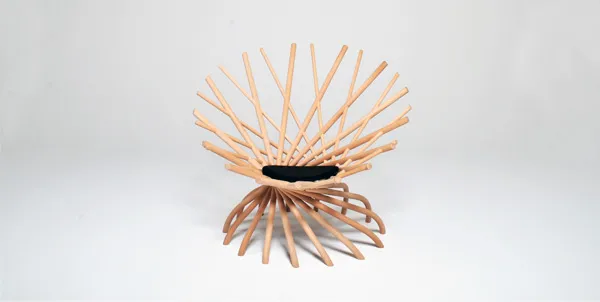 Nest 03